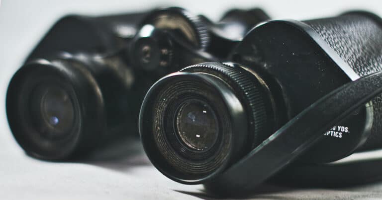 Is MDPI a predatory publisher? Ethical Publishing