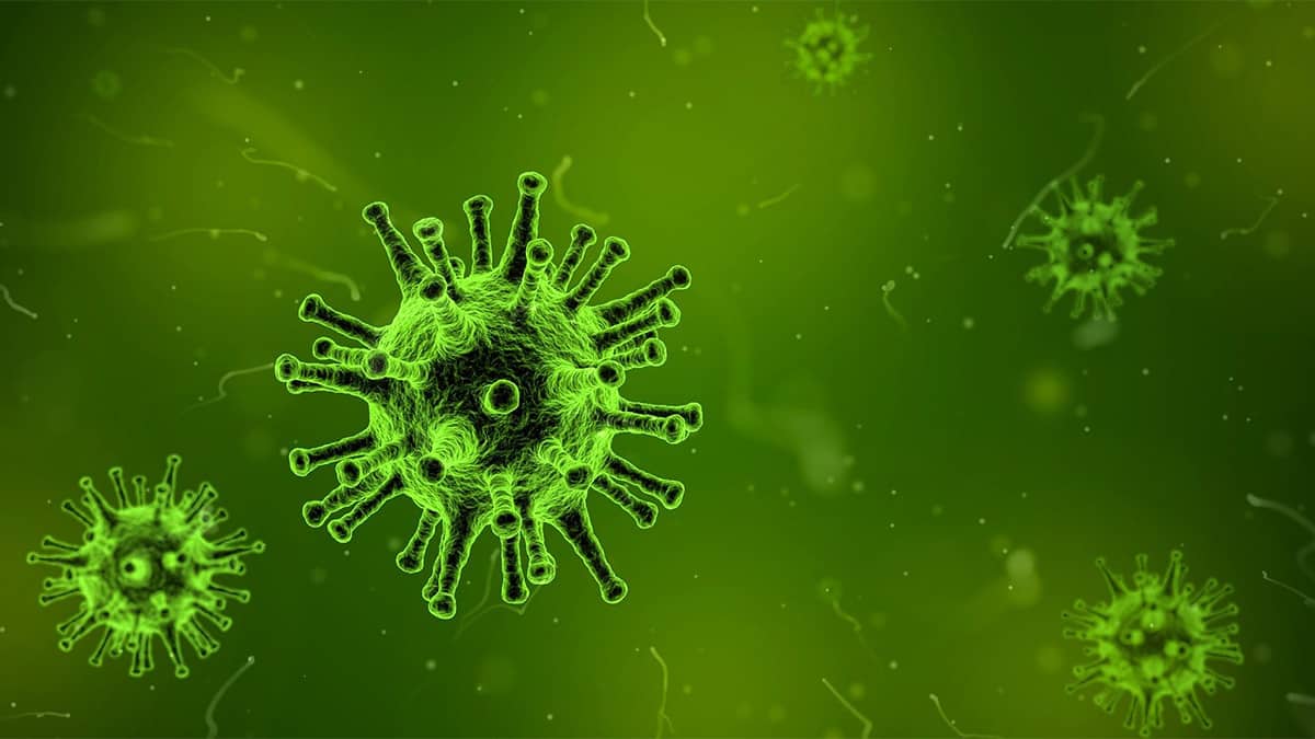 Picture of a virus