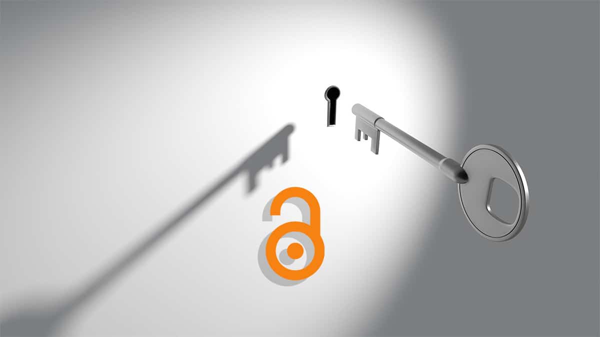 Key and Open Access logo, with shadow